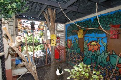 Best Western Antelope Inn - Aviary