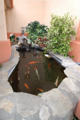 Best Western Antelope Inn - Coy Pond