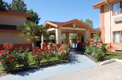 Best Western Antelope Inn - Nice Landscapping