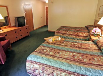 1 King Bed