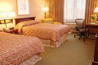 Comfort Inn - Double Room