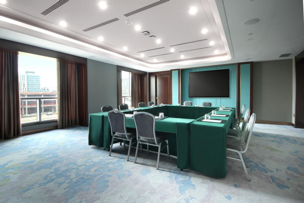 BLOSSOM HOTEL HOUSTON MEDICAL CENTER Houston TX 7118 Bertner 77030