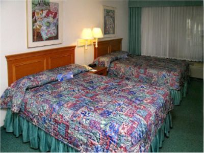 QUALITY INN AT INTERNATIONAL DRIVE Orlando FL 8300 Jamaican Court 32819