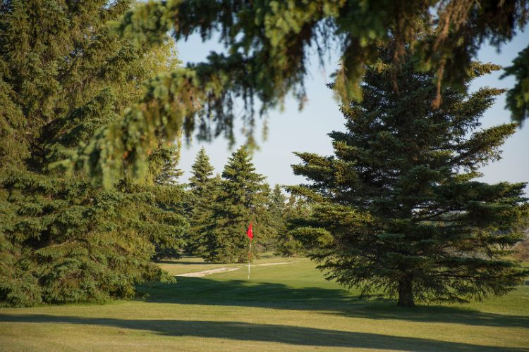 PAR 5 RESORT Mishicot WI 250 West Church 54228